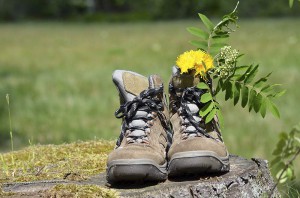 wanderschuhe-wanderung