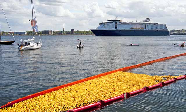 Entenrennen in Kiel