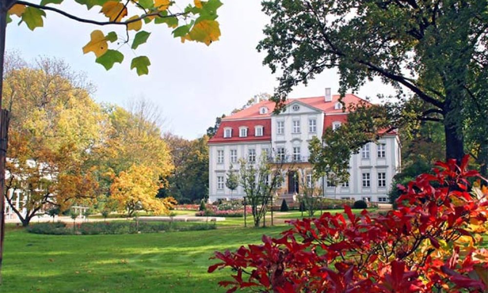 Herbstliches Schloss in Sachsen